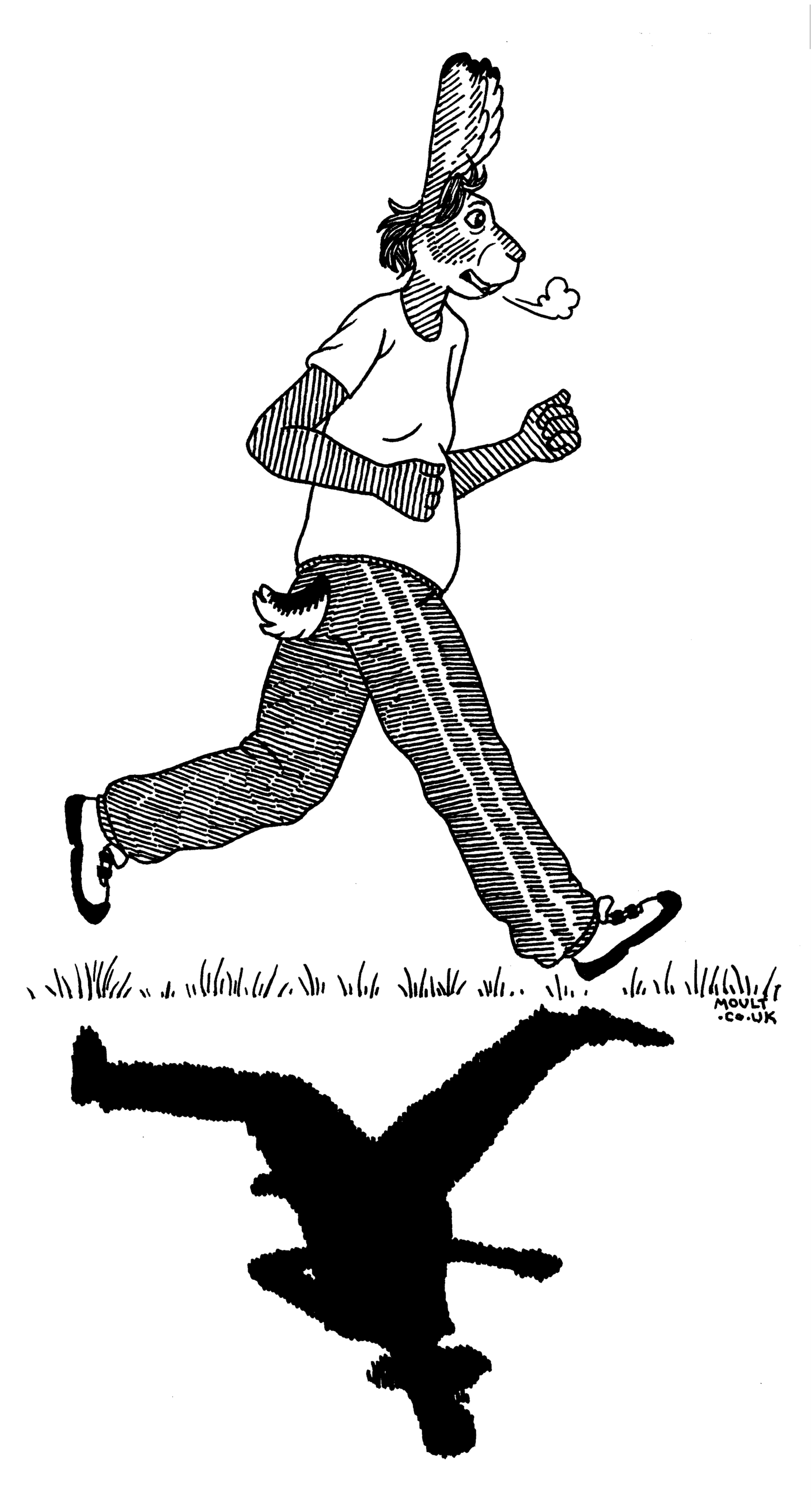 a hare in jogging gear, jogging